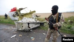 Monitors Join Efforts at Malaysia Airlines Crash Site