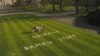 Some Belgians Shout: ‘King! Open Your Garden'