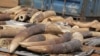 Report: Vietnam Among World's Biggest Illegal Ivory Markets