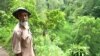 سادیمن نے 617 ایکڑ سے زیادہ رقبے پر لگ بھگ 11 ہزار برگد اور انجیر کے درخت کاشت کیے۔