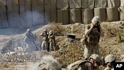 Marines of the 2nd Expeditionary Brigade fire mortar rounds from their forward operating base in Mian Poshteh in Helmand Province, 23 Nov 2009