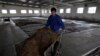 China: Trade Probe of US Sorghum a 'Normal' Investigation