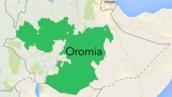 Hiriira Mormii Buunoo Beddellee Keessatti Geggeessame Irratti Lubbuu Namaatu Darbe