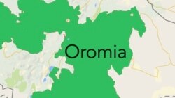 Kanneen Lixa Oromiyaa Keessatti Hidhaman Seeratti Dhihaachaa Hin Jiran Jedhama