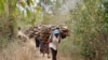 Terror at Midnight: Abduction Trauma of Kenyan Woman Fighting for Forests