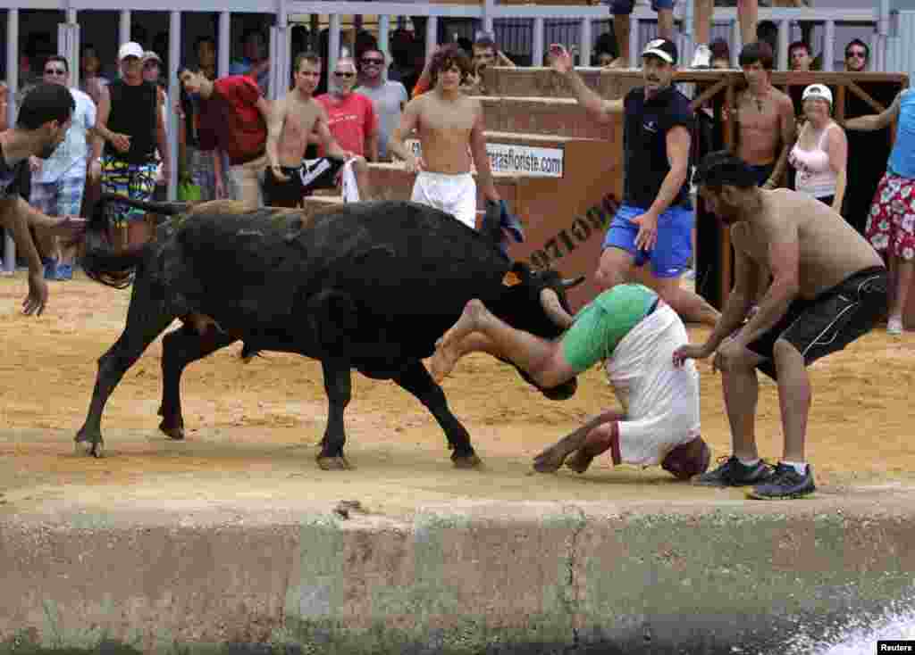 Seorang penonton terkena tandukan banteng pada festival "Bous a la Mar" di Denia, Spanyol timur.