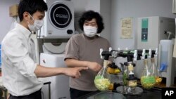 Japan Food Cement