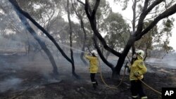 Australia Wildfires