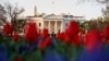 Президент США Дональд Трамп і перша леді Меланія Трамп привітали американців з Великоднем 