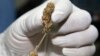 A police officer shows buds of marijuana before a news conference Bangkok, Thailand, Sept. 25, 2018. 