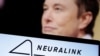 Perusahaan Implan Otak Milik Elon Musk Kantongi Izin Untuk Uji Coba pada Manusia 