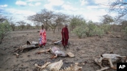 Ukame ulivyoathiri Pembe ya Afrika