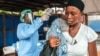 Ebola Virus Can Live in More Animals Than Once Thought