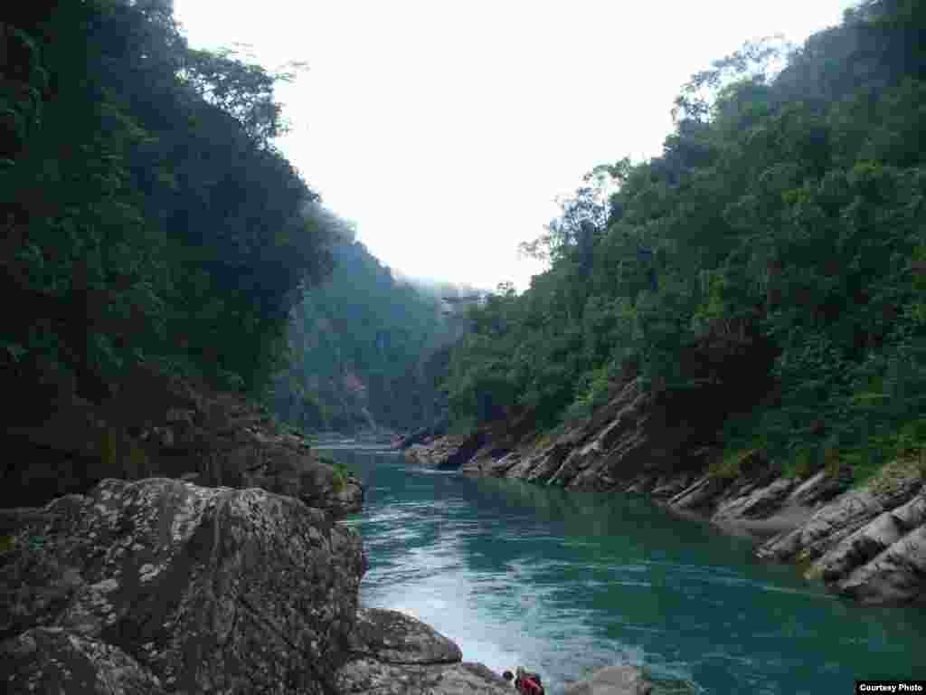 Air jernih mengalir melalui hutan Andean yang tak tercemar. (Greg Asner)