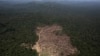 Aktivis: Emisi Gas Rumah Kaca di Brazil Meningkat