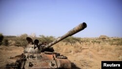 FILE PHOTO: The Wider Image: New front in Ethiopian war displaces thousands, hits hopes of peace talks