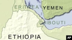 Candidate Slaying in Northern Ethiopia Stirs Calls for an Inquiry