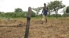 More Farmers Needed in Africa