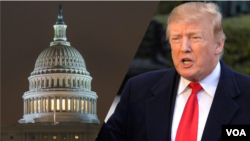 TRUMP CONGRESS