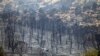 Petugas Mulai Bendung Kebakaran Hutan di Arizona, AS
