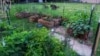 Don’t Have Soil, Try Planting in Straw Bales