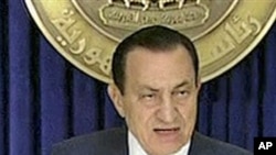 Egypt's President Hosni Mubarak speaking on television (file photo)