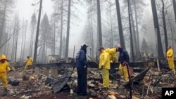 After a brief delay to let a downpour pass, volunteers resume their search for human remains at a mobile home park in Paradise, Calif., Nov. 23, 2018. The team is doing a second search because there are missing people whose last address was the mobile home park.