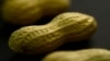 US Approves Asthma Drug to Treat Food Allergies