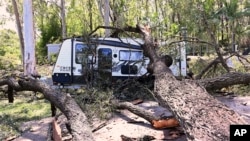 Sebuah pohon tumbang tergeletak di trailer perkemahan dekat Gold Coast, Australia, Selasa, 26 Desember 2023. (Dave Hunt/Gambar AAP via AP)
