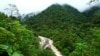 Costa Rica Could Permanently Ban Fossil Fuel Exploration