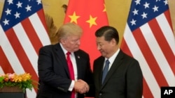 美国总统特朗普2017年11月访华期间与中国领导人习近平握手。
