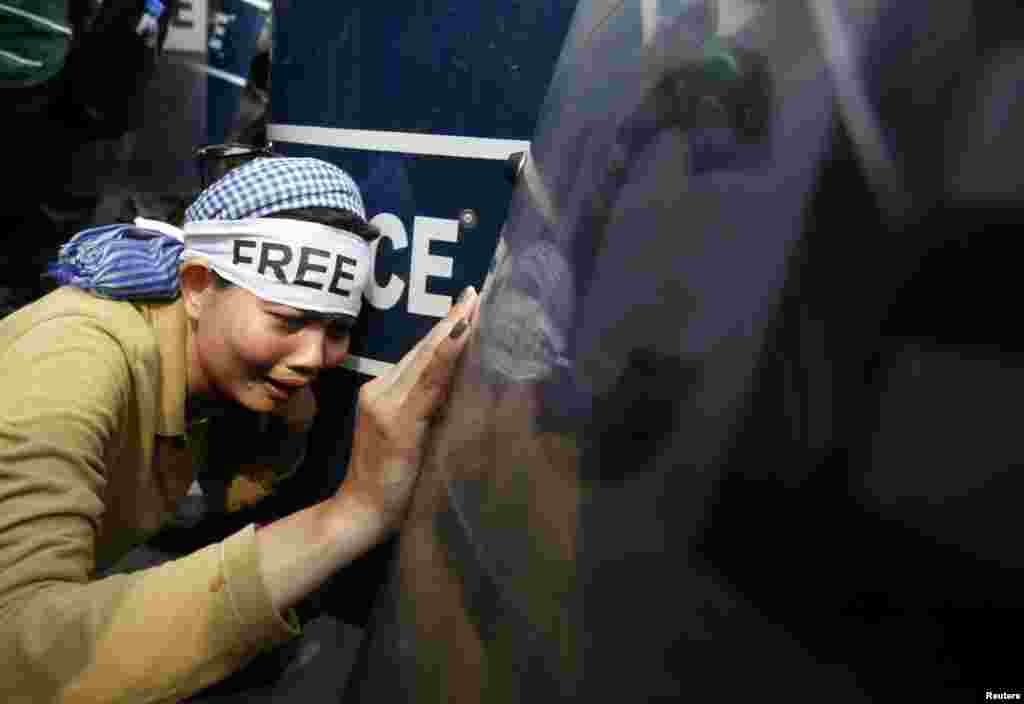 Seorang pengunjuk rasa menangis saat bentrokan dengan polisi dalam demonstrasi di depan pengadilan kota Phnom Penh, Kamboja. Para demonstran menuntut dibebaskannya 21 tahanan yang dipenjara sejak tanggal 3 Januari, ketika polisi militer melancarkan tembakan ke arah pekerja yang mogok memprotes upah rendah, yang menewaskan empat orang. 