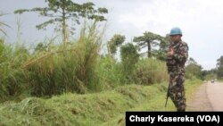 Un Casque bleu de la mission des Nations unies au Congo patrouille à Oicha, le 28 novembre 2015. (VOA / Charly Kasereka)