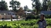 Farming Helps Refugees Put Down Roots
