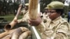 Kenyan Anti-Poaching Laws May Get Overhaul