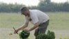 In the Garden: Growing Your Own Lettuce