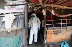 FILE - An employee of the nonprofit Cambodian Children's Fund sprays disinfectant to help curb the spread of the new coronavirus in the slum neighborhood of Stung Meanchey in southern Phnom Penh, Cambodia, March 24, 2020.