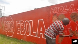 A local Liberian artist paints a mural forming part of the country's fight against the deadly Ebola virus by education in the city of Monrovia, Liberia, Sept. 23, 2014. 