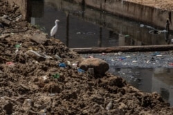 A bird stands atop a mound of rubbish overlooking a polluted canal in Dakar, Senegal, Apr. 23, 2021.