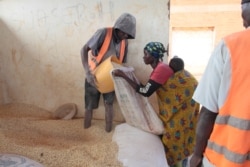 A refugee receiving maize at Dzaleka refugee camp in Malawi. (Lameck Masina/VOA)