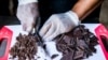Haiti’s Cocoa Wants International Recognition
