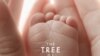 Award-Winning Film Explores Meaning of Life