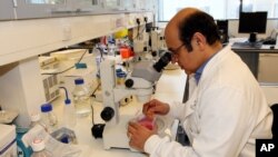 Las conclusiones del estudio pueden ser importantes para las teorías de la evolución humana.