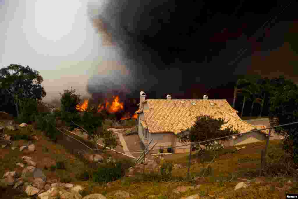 Kebakaran Cocos mengamuk dekat kawasan perumahan di San Marcos, California, 15 April 2014. Kebakaran hutan di California Selatan mengakibatkan ribuan penduduk meninggalkan rumah mereka. 
