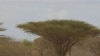 Kenya Provides Funds to Combat Drought, Famine