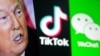 Trump se une a Tik Tok y gana tres millones de seguidores rápidamente