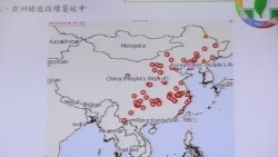 非洲猪瘟在中国蔓延，台湾方面严阵以待