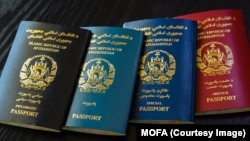 طالبانو تر نا معلومې مودې پورې په کابل کې د پاسپورټ وېش بند کړ