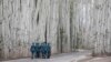 Kyrgyz guards of honor walk away after a welcoming ceremony attended by Presidents Vladimir Putin of Russia and Sooronbay Jeenbekov of Kyrgyzstan in Bishkek on March 28, 2019. 