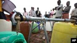 Cholera